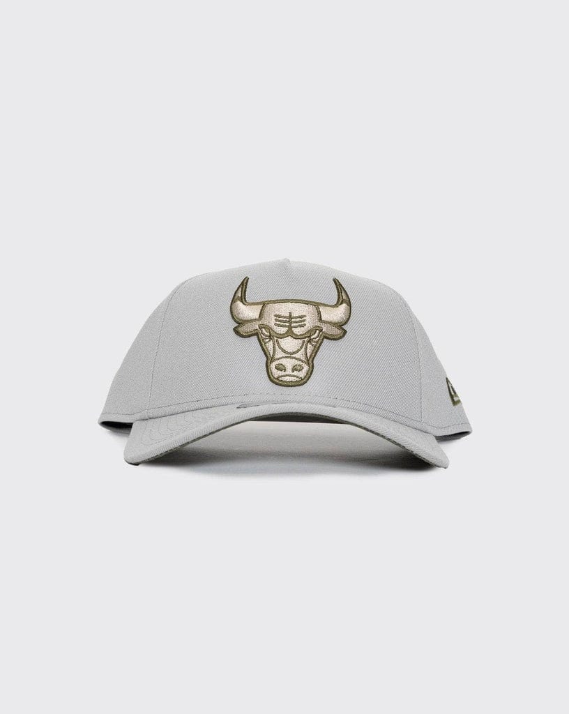 New Era 9FORTY A-Frame Snapback Chicago Bulls - Silver / Olive / Stone